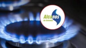 WhatsApp Image 2025-10-31 at 12.23.50