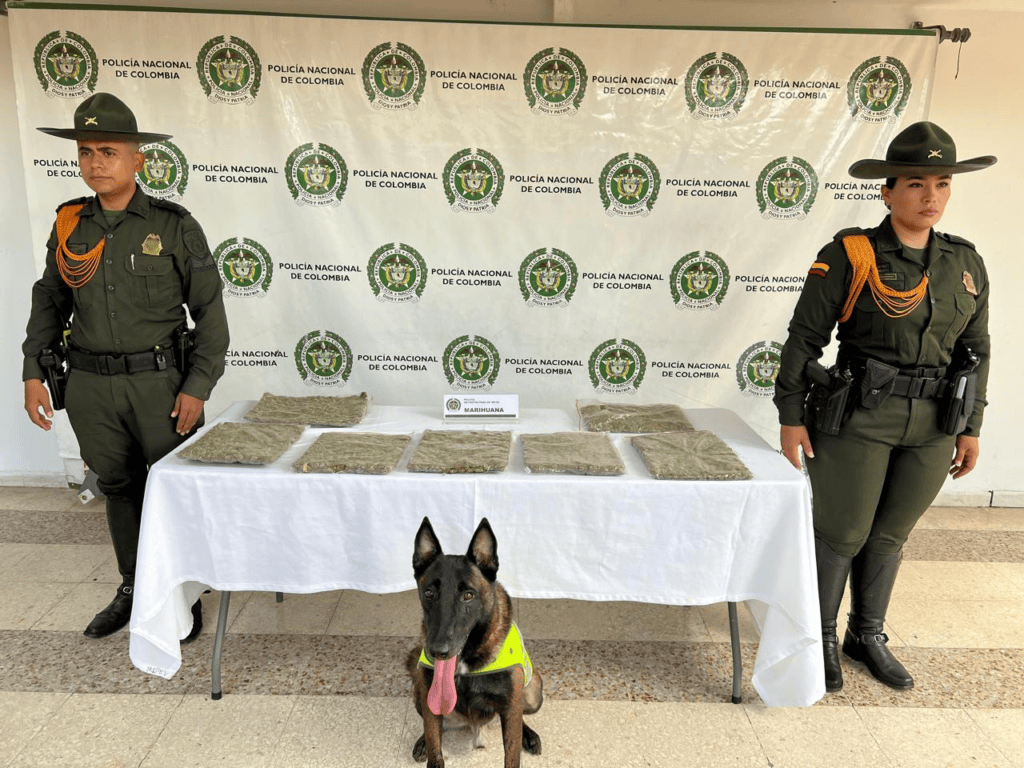 Encuentran más de 3 kilos de marihuana